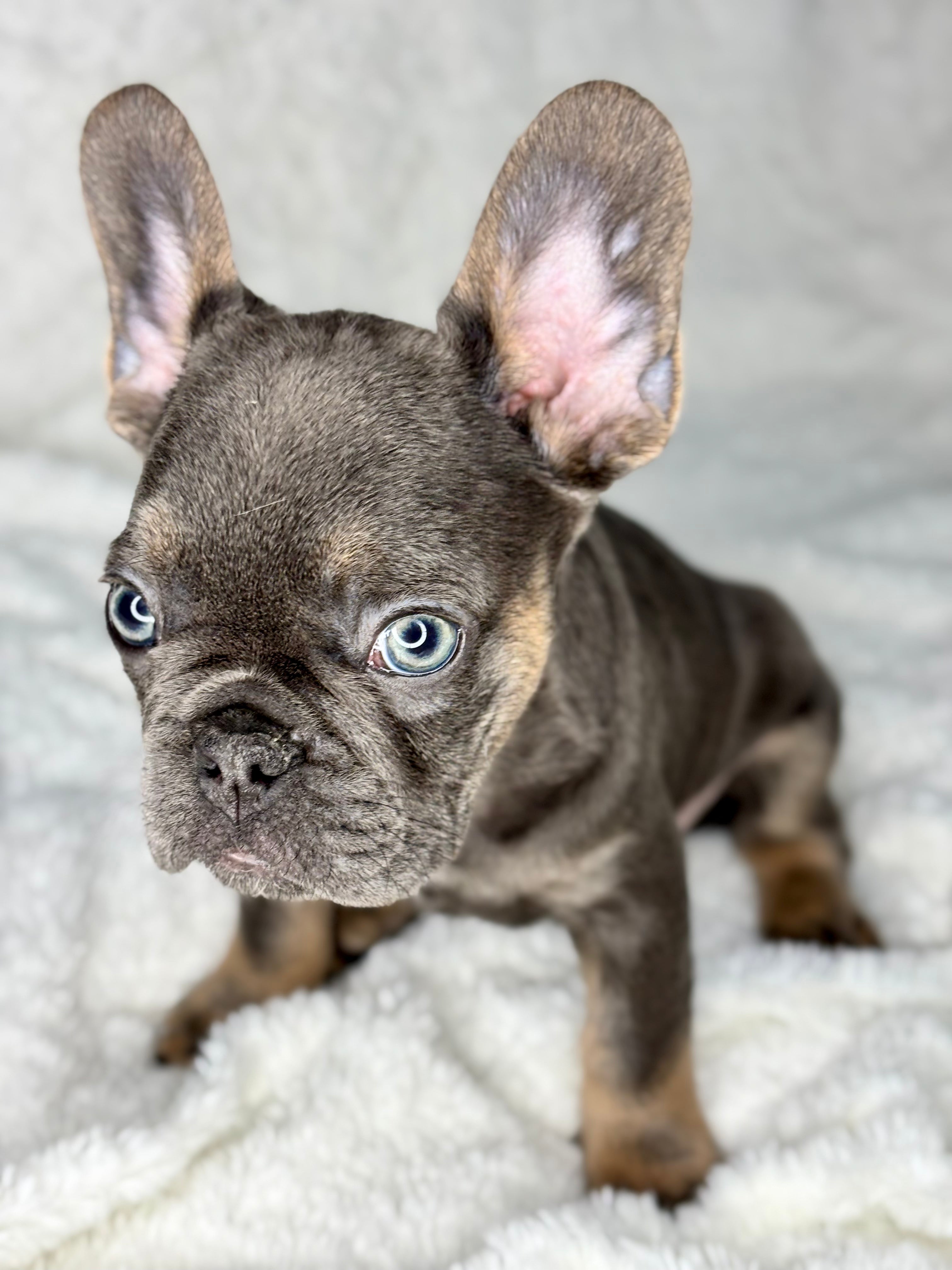 Benny