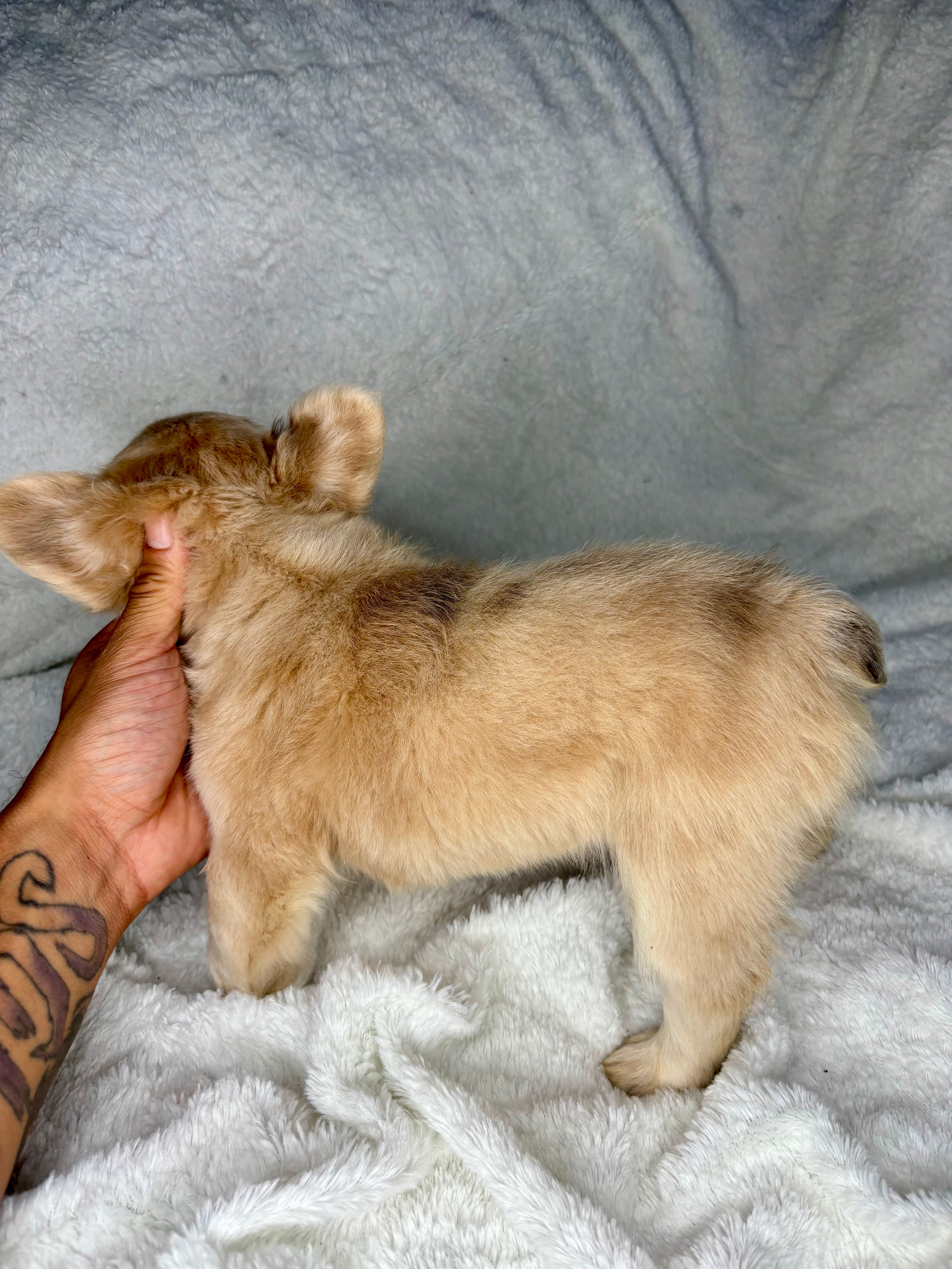 Winnie